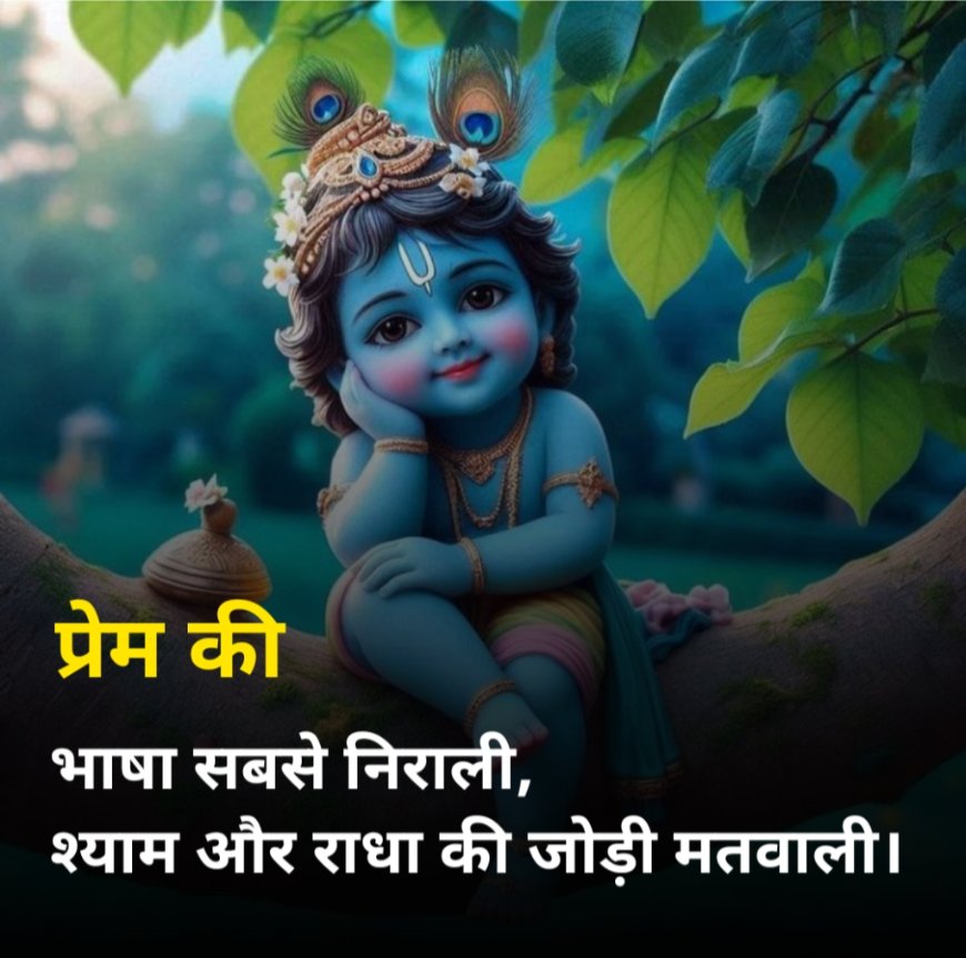 Krishna Shayari 2 line